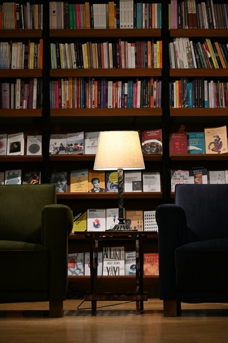 Armchair and lamp in front of dark bookshelves